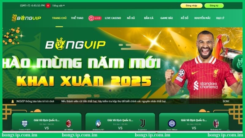 Bongvip là thiên đường giải trí dẫn đầu xu hướng 