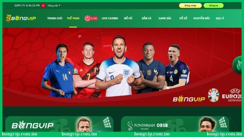 Cá cược thể thao cuốn hút tại Bongvip 