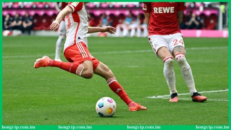 Soi kèo bóng đá Đức Bongvip - Mẹo trăm trận trăm thắng 3 Đánh giá yếu tố sân đấu khi soi kèo bóng đá Đức