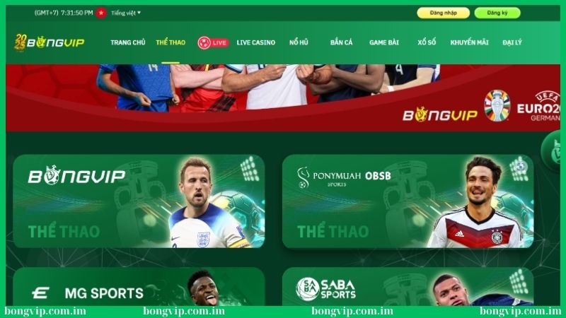 Soi kèo bóng đá Đức Bongvip - Mẹo trăm trận trăm thắng 4 Soi kèo bóng đá Đức tại Bongvip rất uy tín